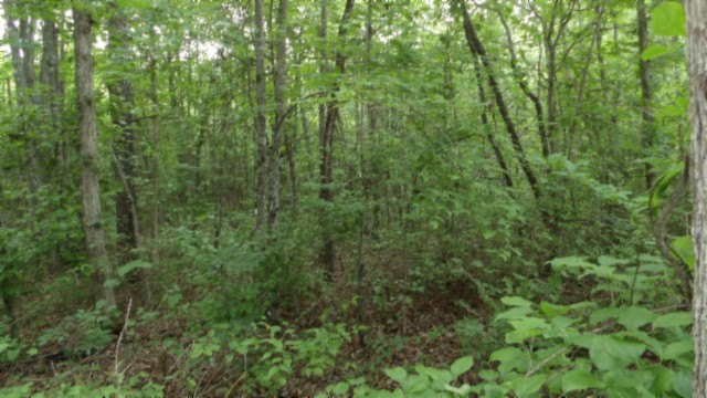 0 Hilltop Lane Wilder TN 38589