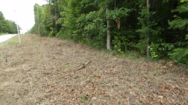 0 Hilltop Lane Wilder TN 38589