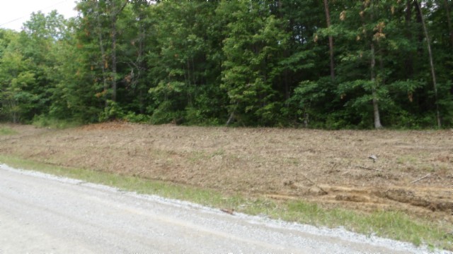 0 Hilltop Lane Wilder TN 38589