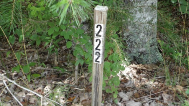 0 Hilltop Lane Wilder TN 38589