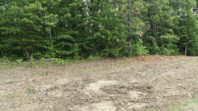 0 Hilltop Lane Wilder TN 38589