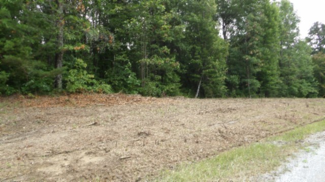 0 Hilltop Lane Wilder TN 38589