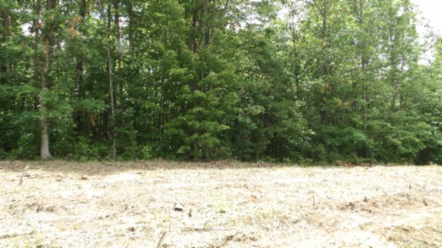0 Hilltop Lane Wilder TN 38589