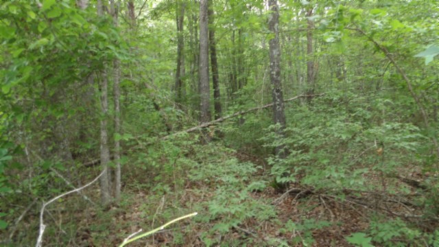 0 Hilltop Lane Wilder TN 38589
