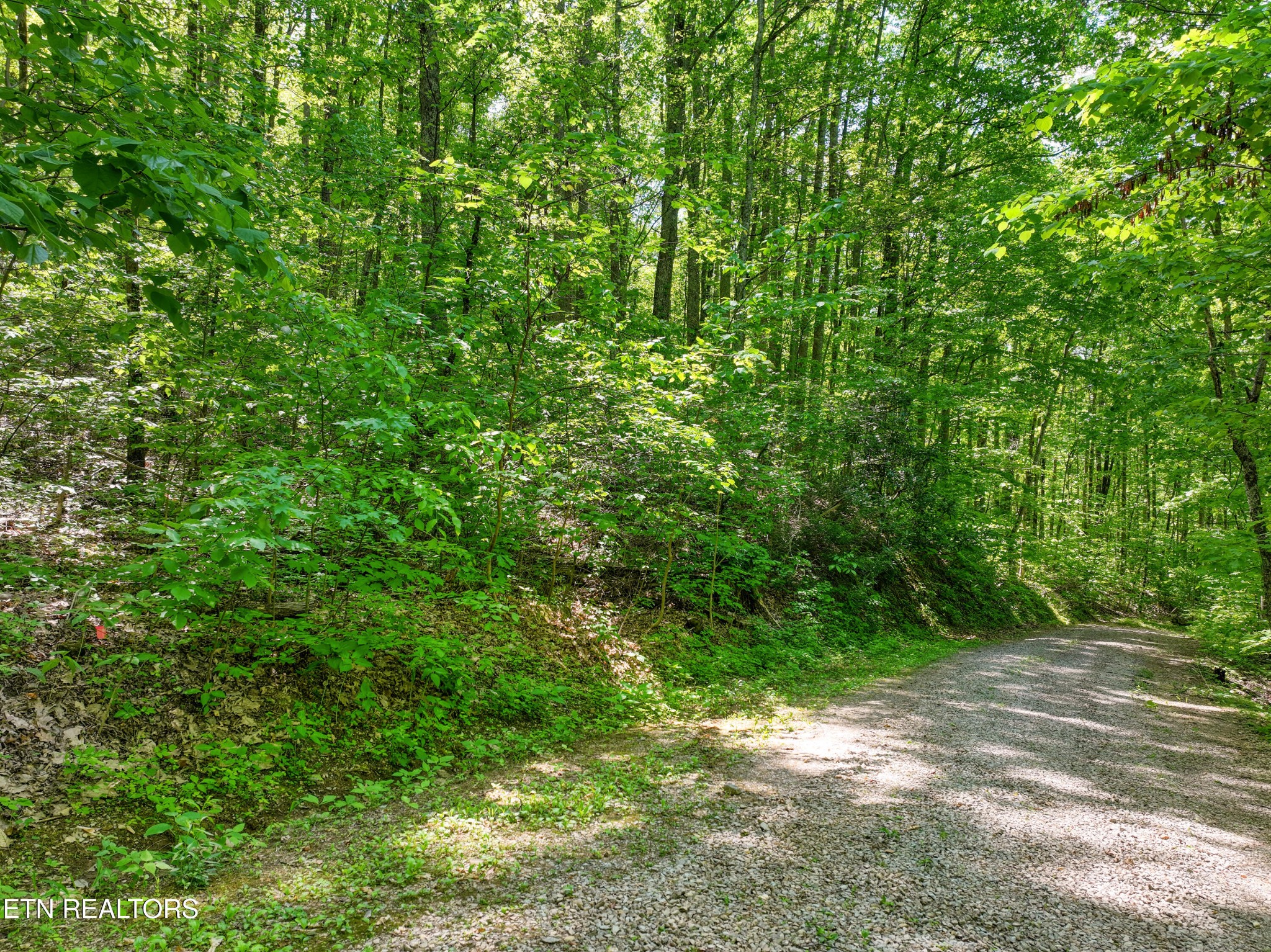 2122 Walden Cove Way Sevierville TN 37862