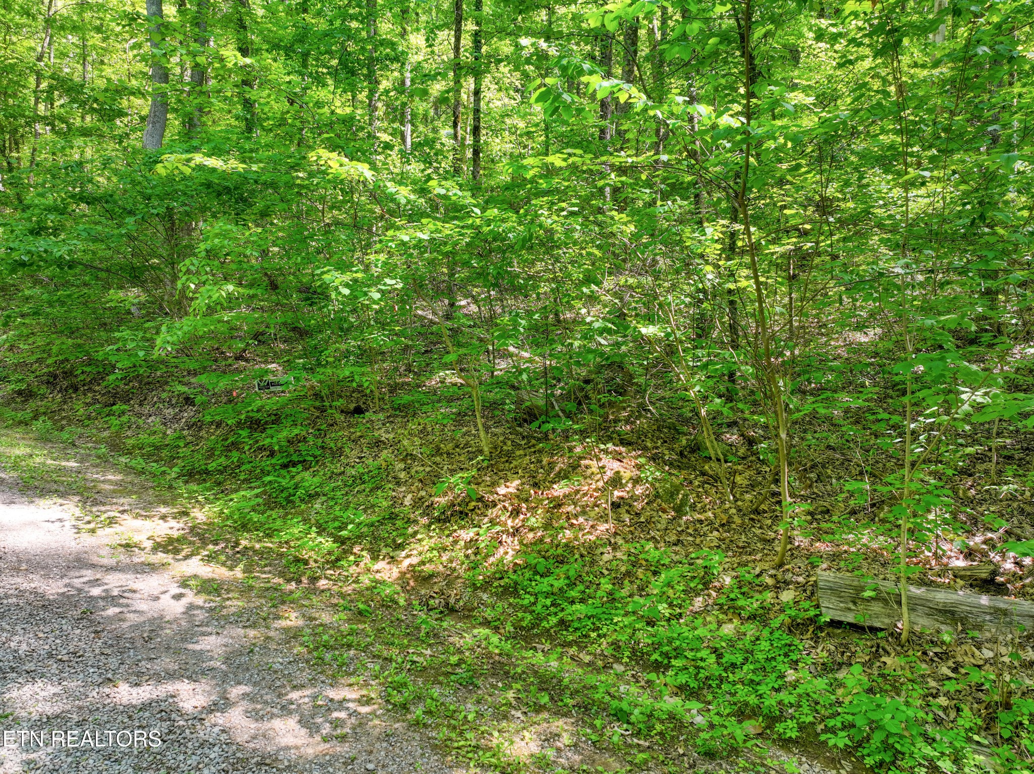2122 Walden Cove Way Sevierville TN 37862