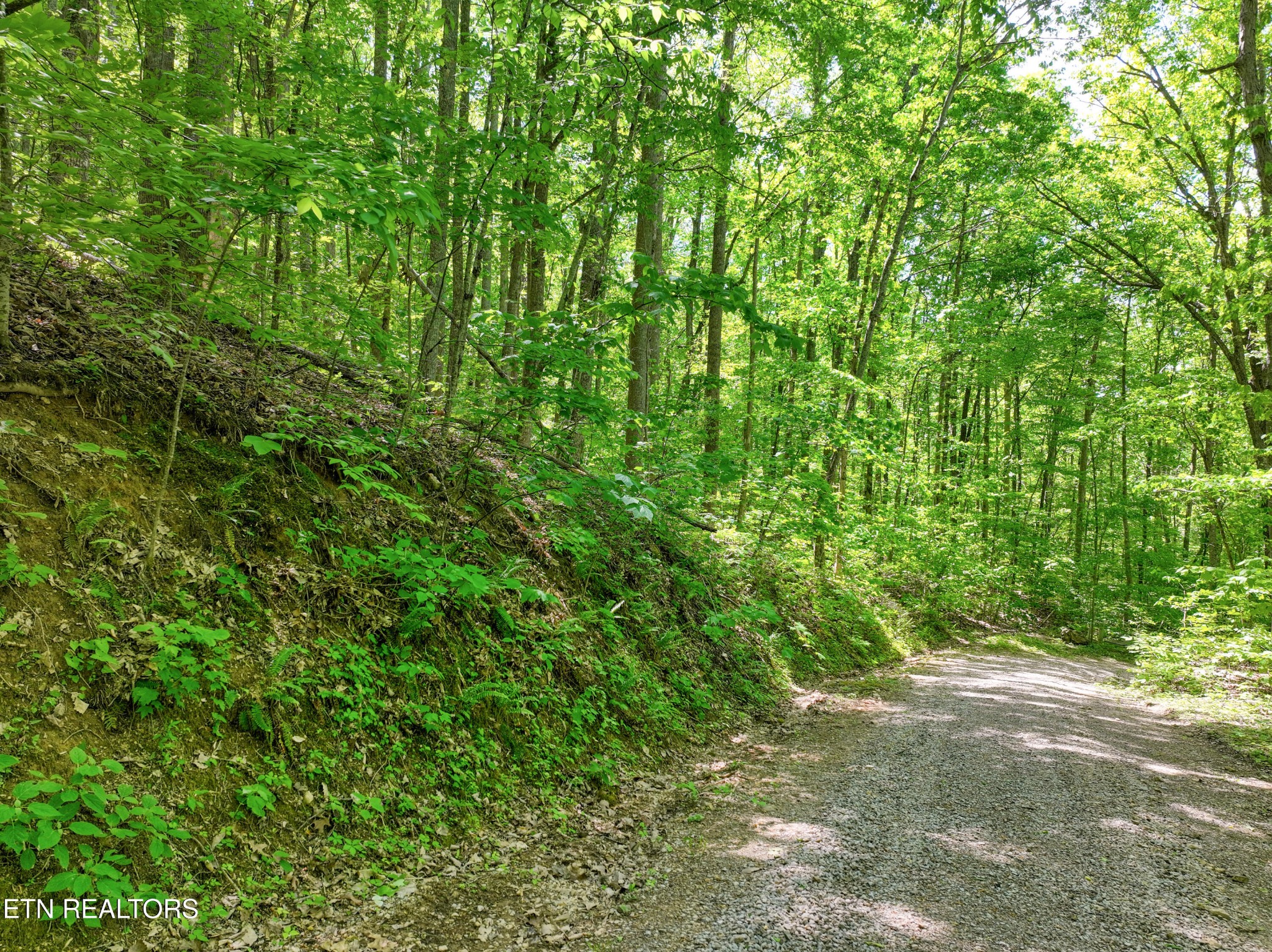2122 Walden Cove Way Sevierville TN 37862