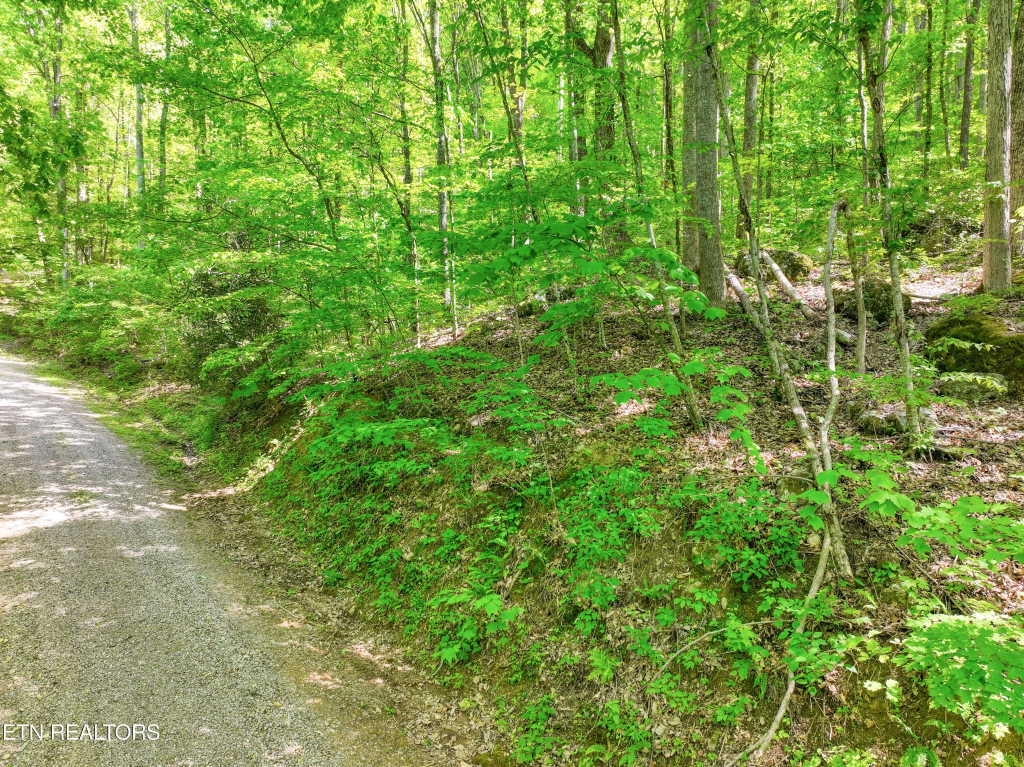 2122 Walden Cove Way Sevierville TN 37862