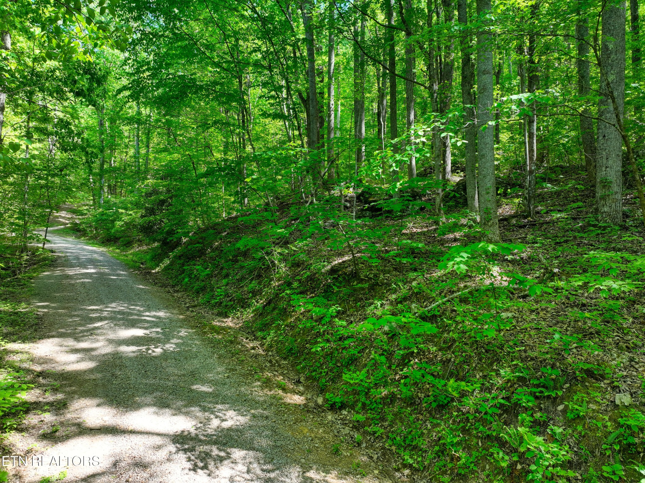 2122 Walden Cove Way Sevierville TN 37862