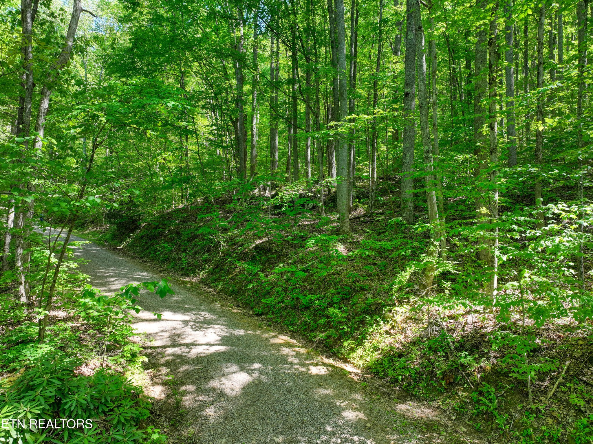 2122 Walden Cove Way Sevierville TN 37862