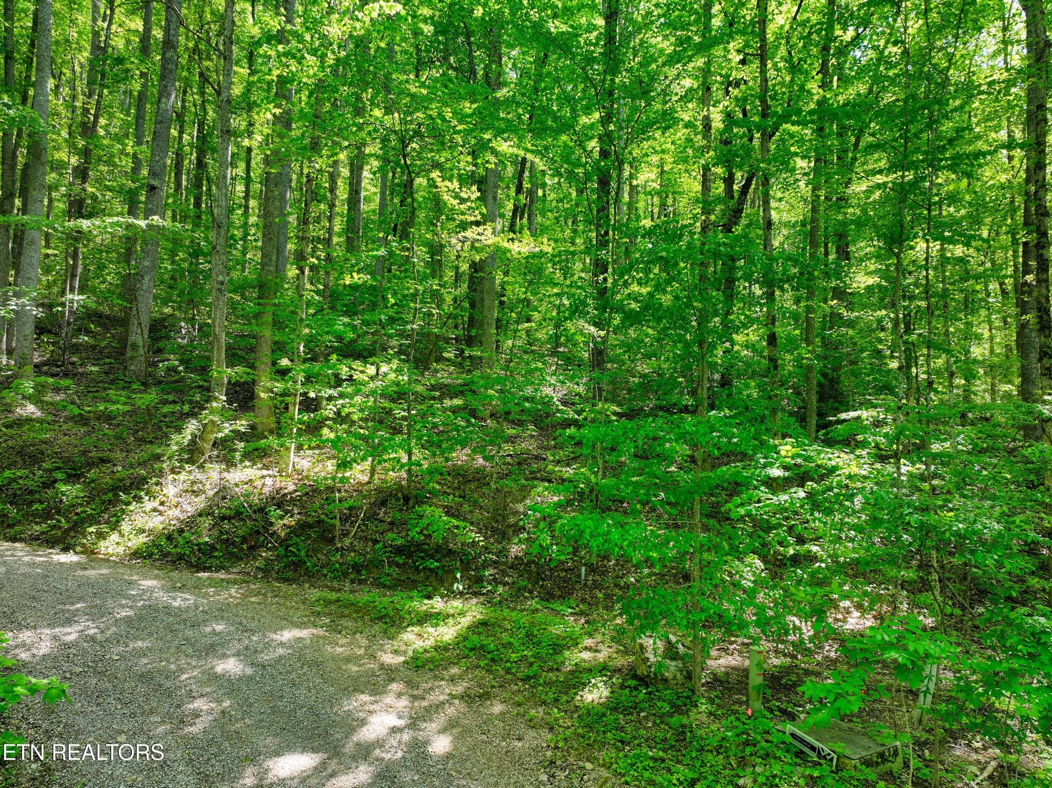 2122 Walden Cove Way Sevierville TN 37862
