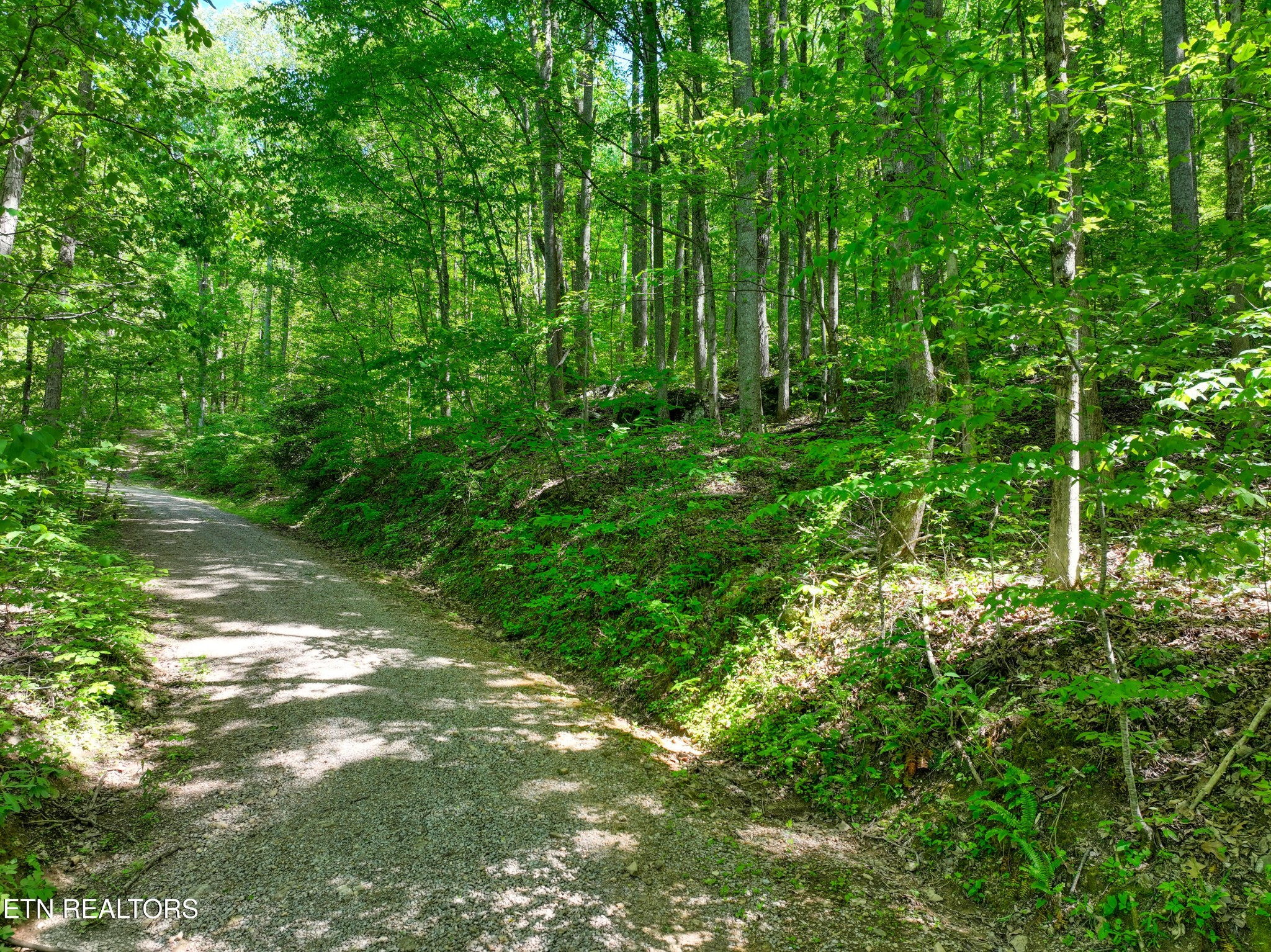 2122 Walden Cove Way Sevierville TN 37862