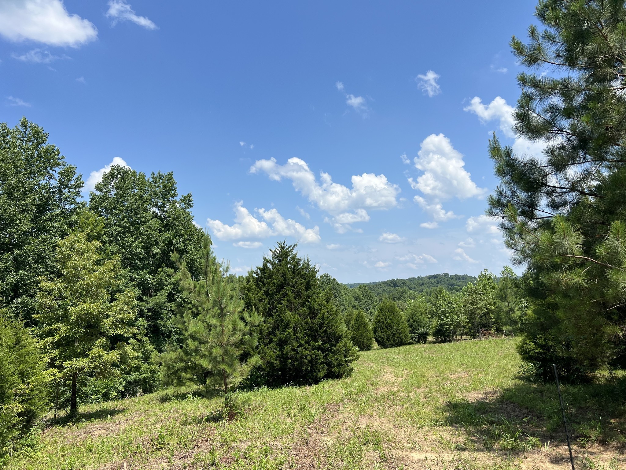 4200 Shiloh Canaan Road Palmyra TN 37142
