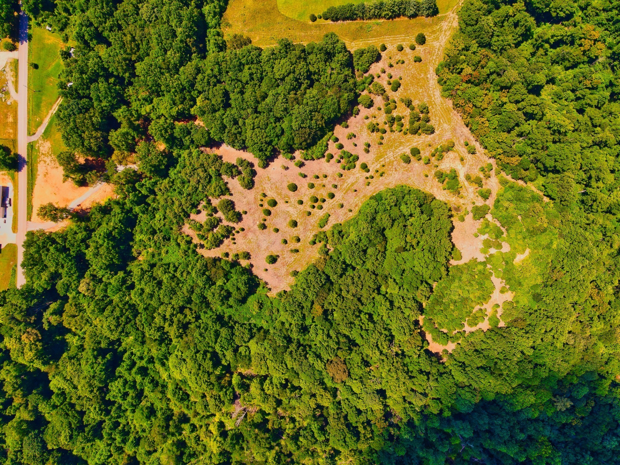 4200 Shiloh Canaan Road Palmyra TN 37142