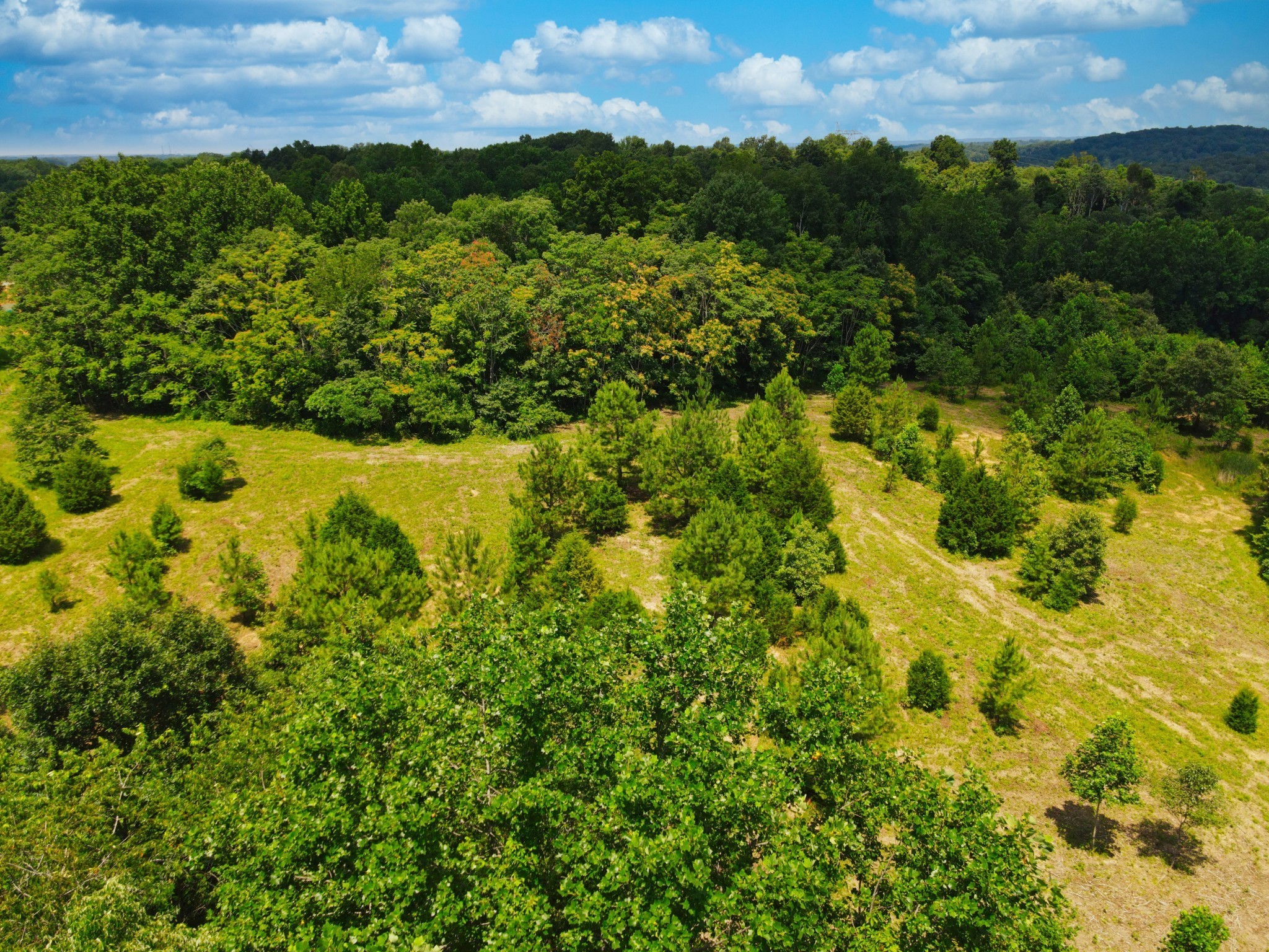 4200 Shiloh Canaan Road Palmyra TN 37142