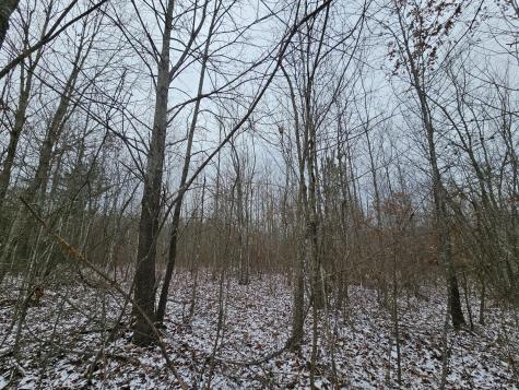 0 Tootley Campbell Road Monteagle TN 37356