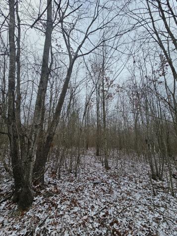 0 Tootley Campbell Road Monteagle TN 37356