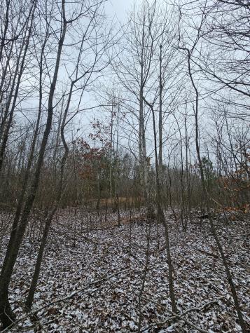 0 Tootley Campbell Road Monteagle TN 37356