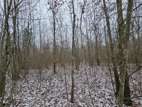 0 Tootley Campbell Road Monteagle TN 37356