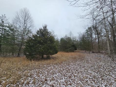 0 Tootley Campbell Road Monteagle TN 37356