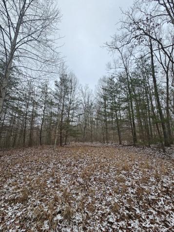 0 Tootley Campbell Road Monteagle TN 37356