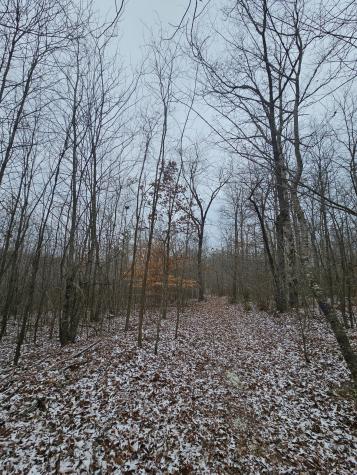 0 Tootley Campbell Road Monteagle TN 37356