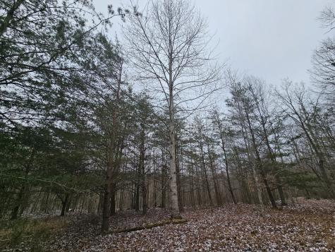 0 Tootley Campbell Road Monteagle TN 37356