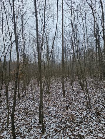 0 Tootley Campbell Road Monteagle TN 37356