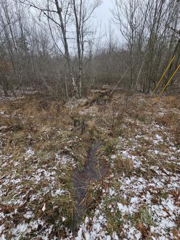 0 Tootley Campbell Road Monteagle TN 37356