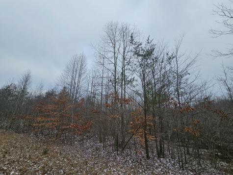 0 Tootley Campbell Road Monteagle TN 37356