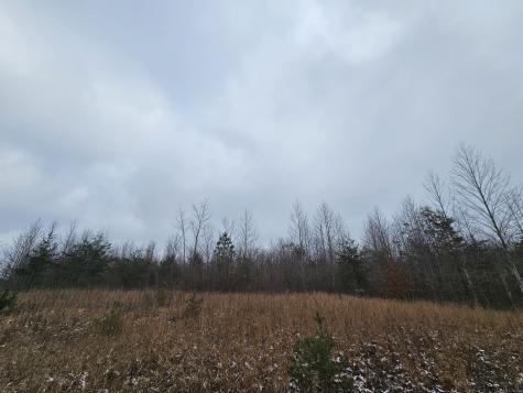 0 Tootley Campbell Road Monteagle TN 37356