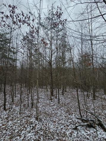 0 Tootley Campbell Road Monteagle TN 37356