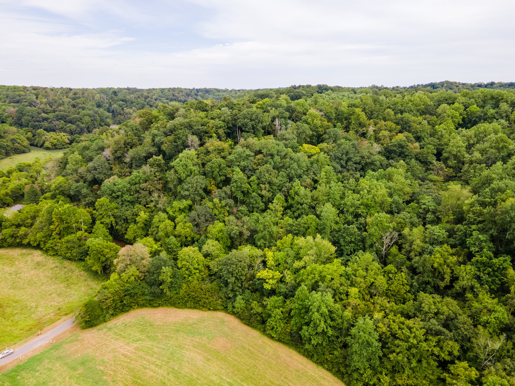 3045 Robert Skelley Road Columbia TN 38401