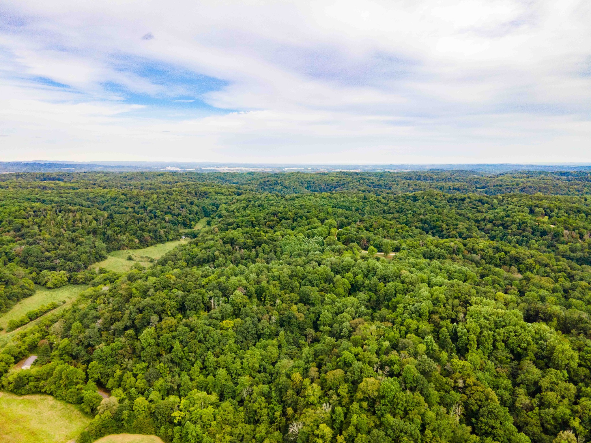 3045 Robert Skelley Road Columbia TN 38401