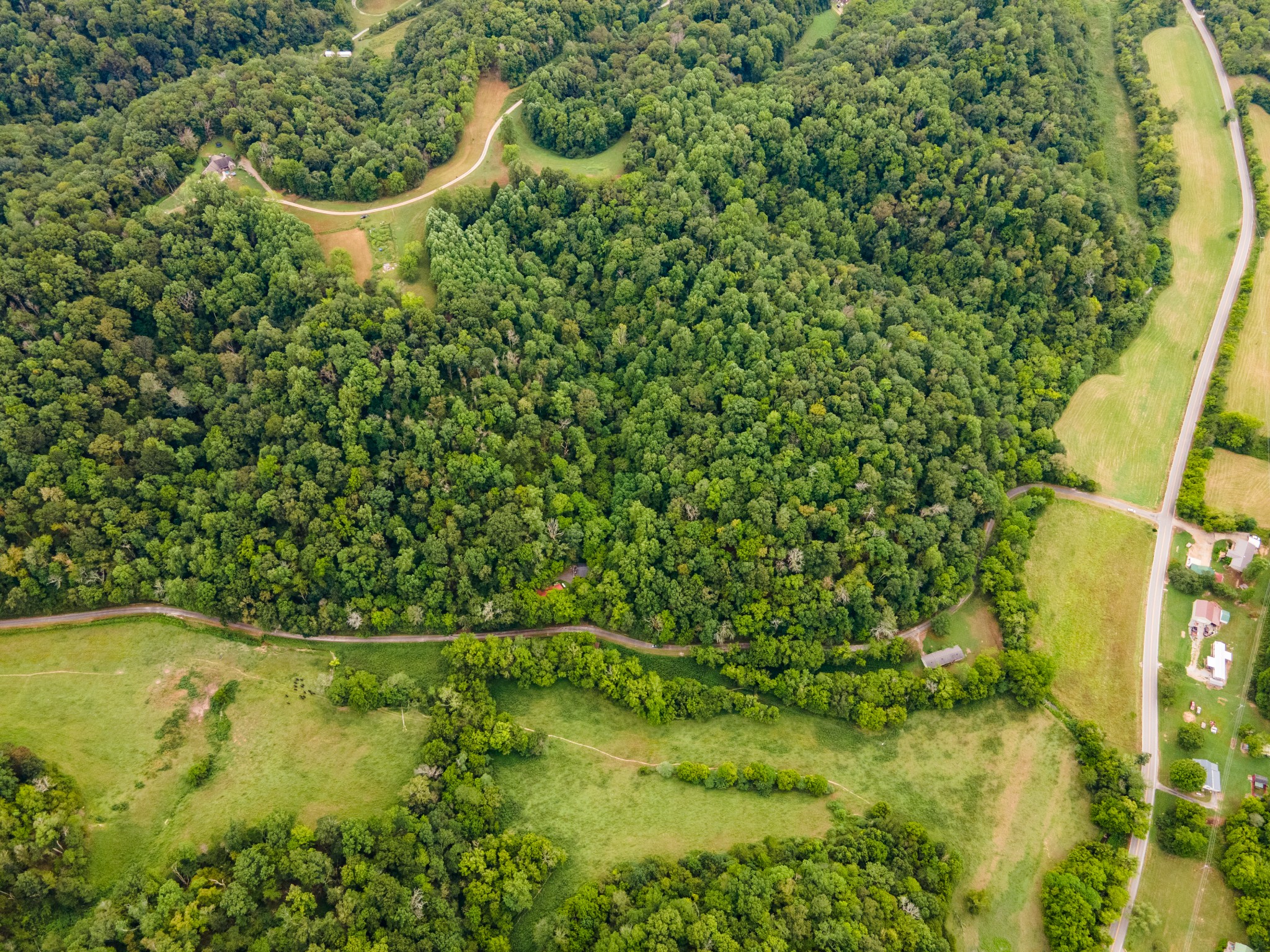 3045 Robert Skelley Road Columbia TN 38401