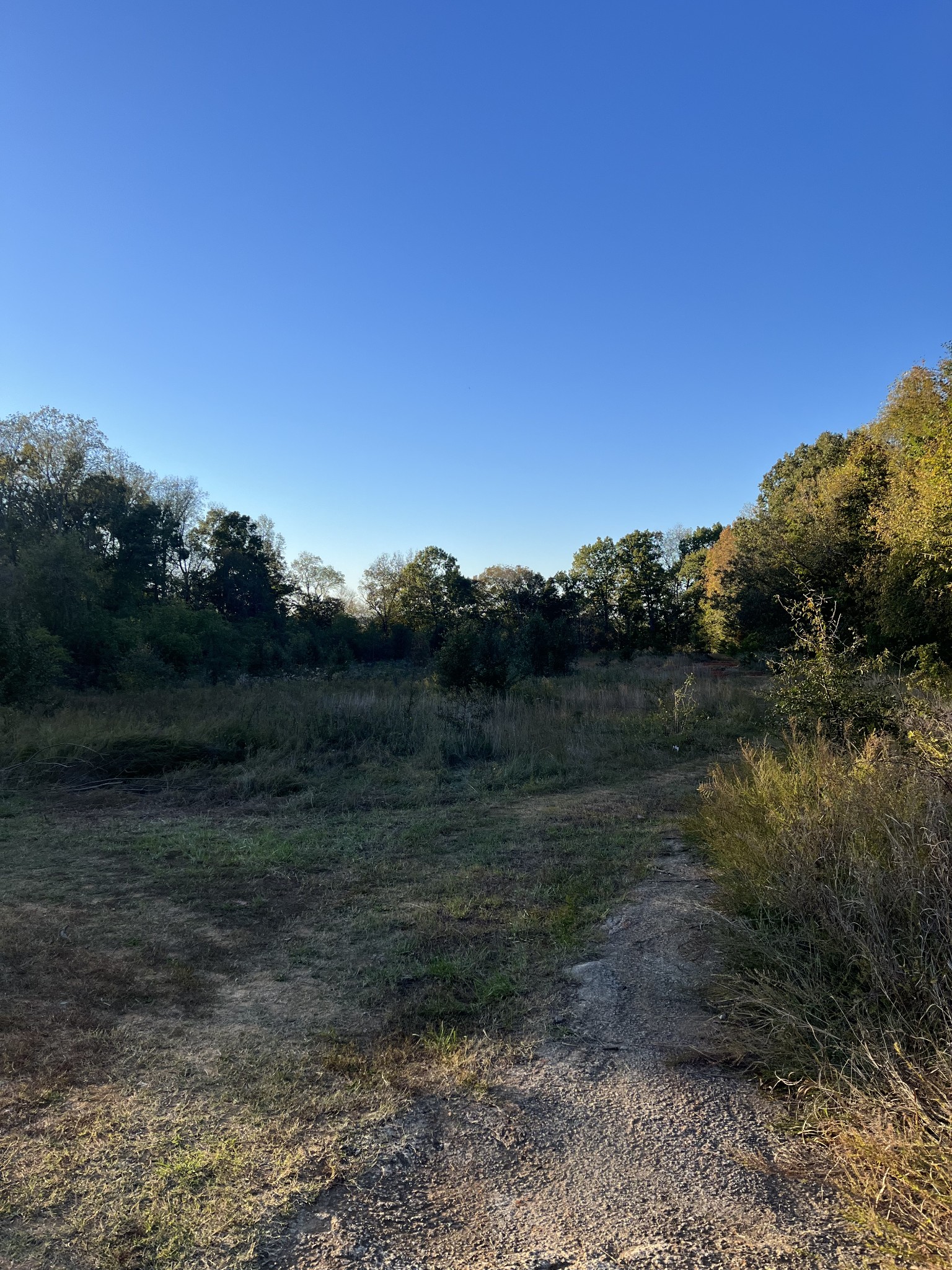 2472 S Chancery Street Mcminnville TN 37110