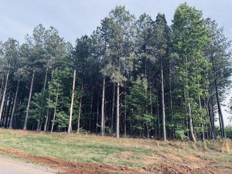 255 Waterwheel Way Jasper TN 37347