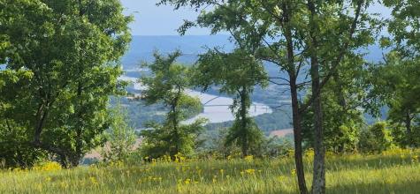 255 Waterwheel Way Jasper TN 37347