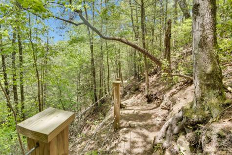 512 Deer Lick Trail Monteagle TN 37356