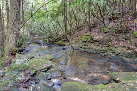 512 Deer Lick Trail Monteagle TN 37356