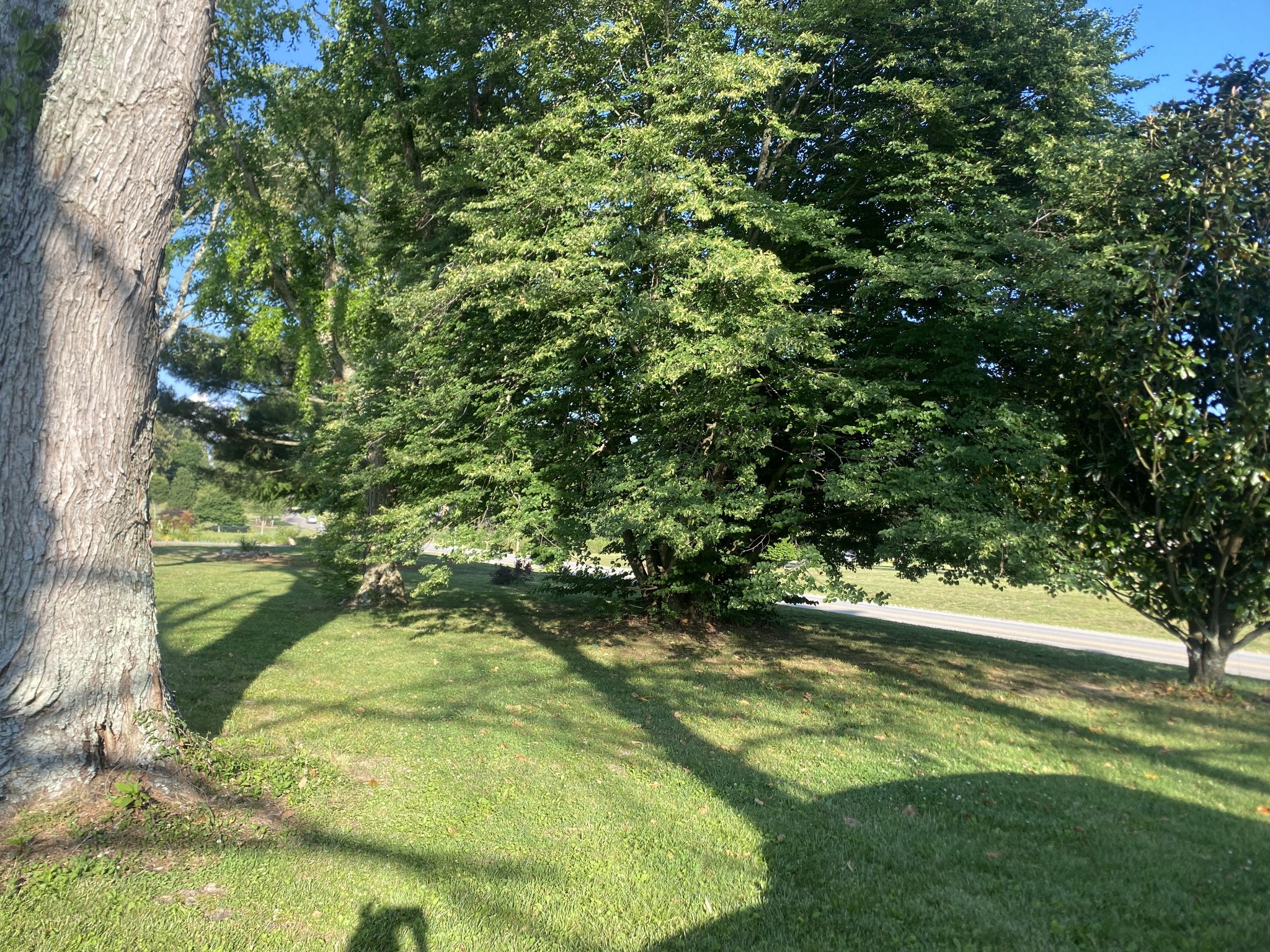 5060 Shelbyville Road Mcminnville TN 37110