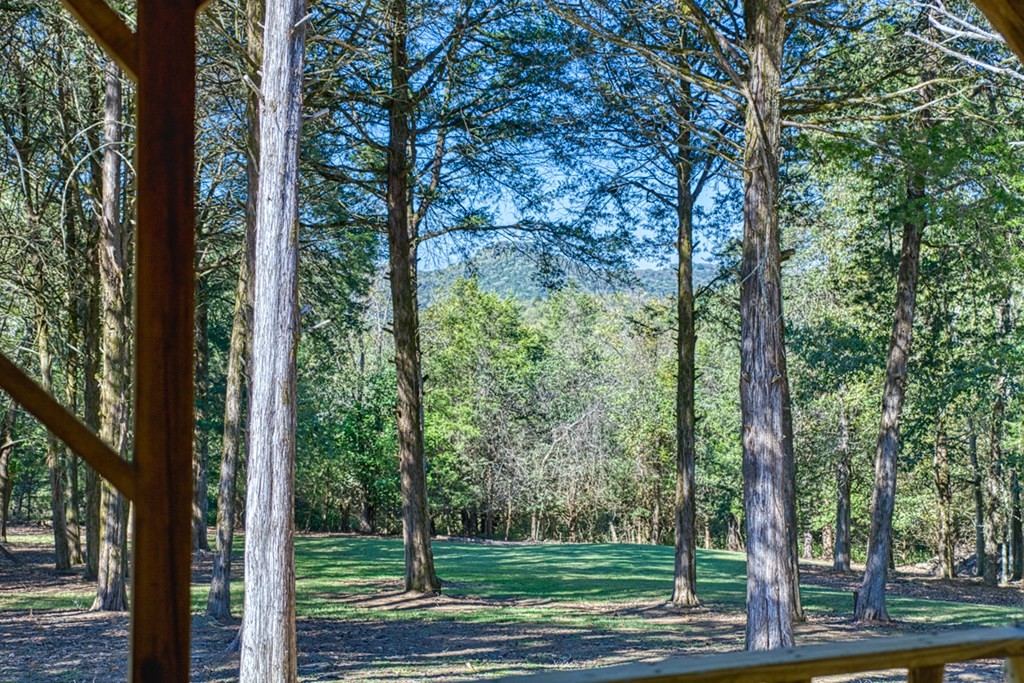 1582 Spring Fork Road Granville TN 38564