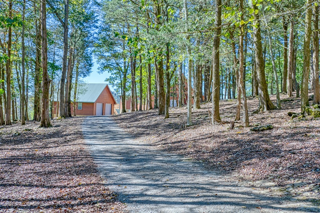 1582 Spring Fork Road Granville TN 38564