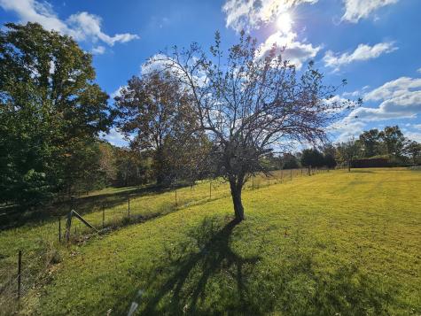 2305 Highway 46 Indian Mound TN 37079