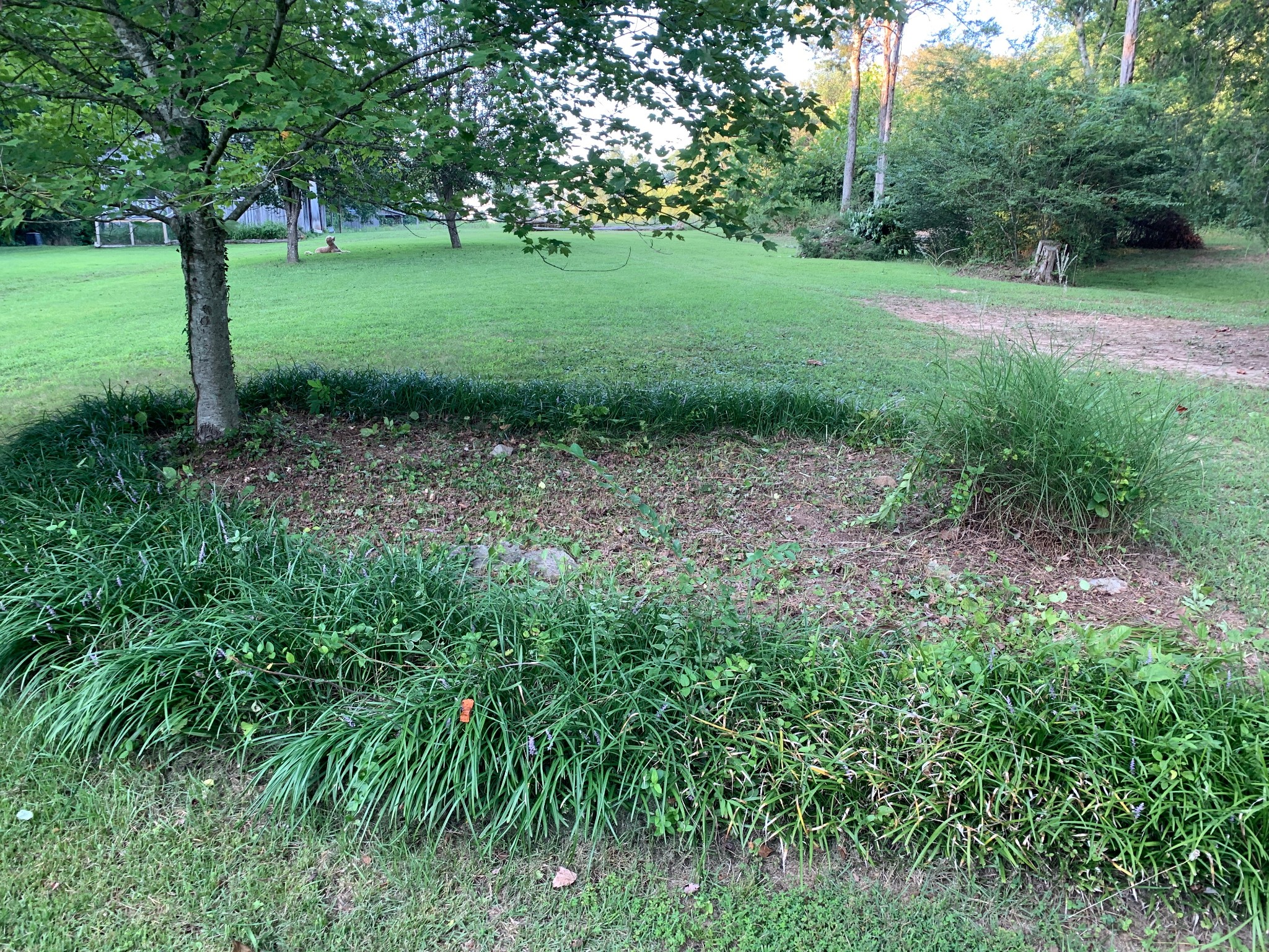 7061 E Plunders Creek Road Dickson TN 37055