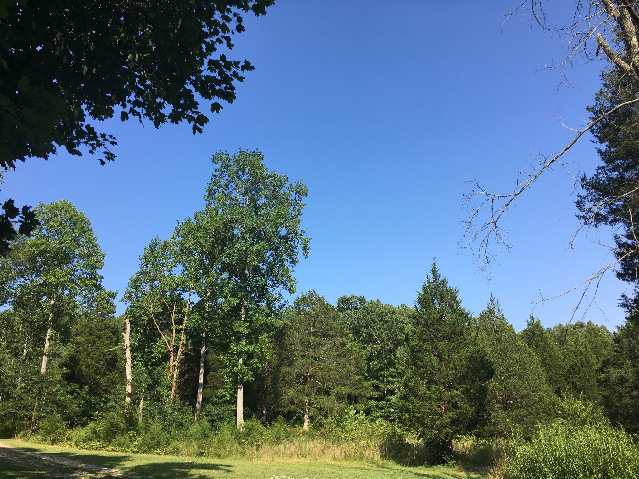 7061 E Plunders Creek Road Dickson TN 37055