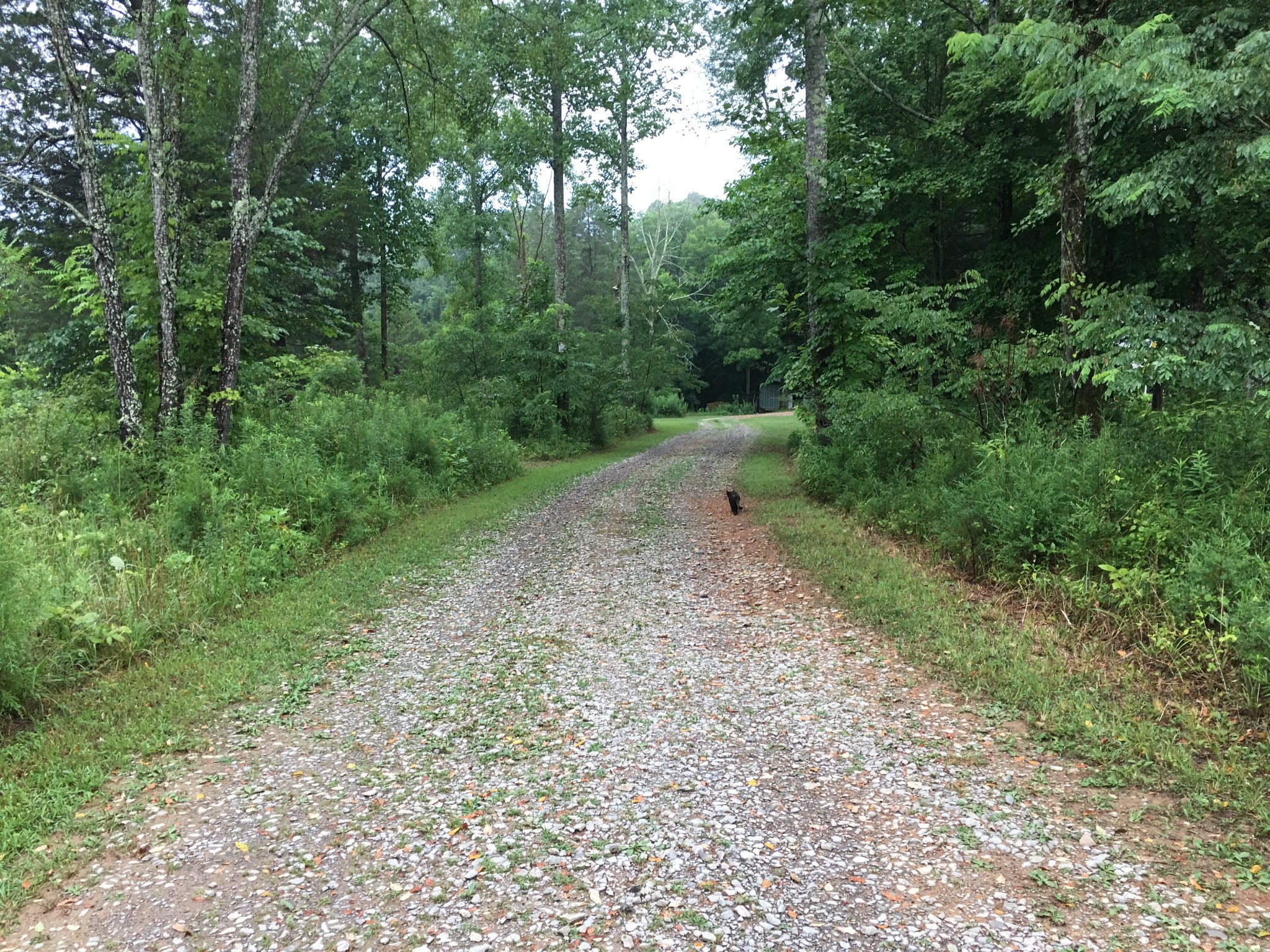 7061 E Plunders Creek Road Dickson TN 37055
