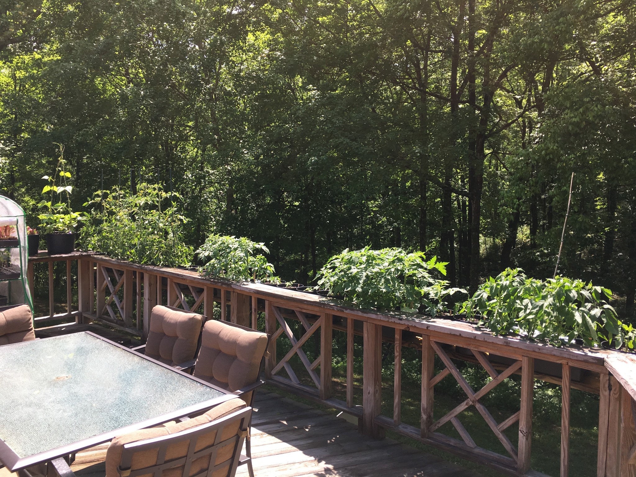 7061 E Plunders Creek Road Dickson TN 37055