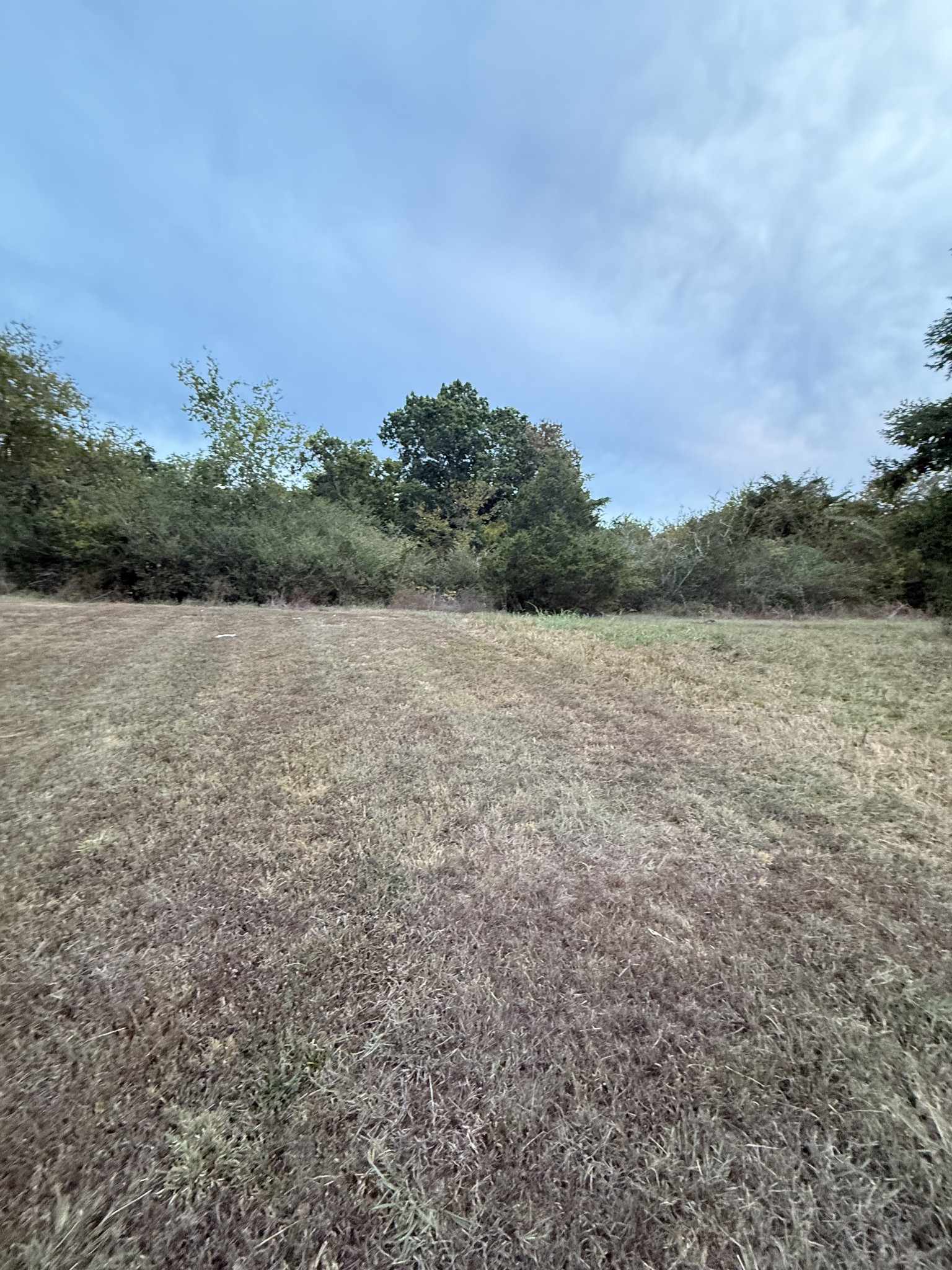 0 New Town Road Watertown TN 37184