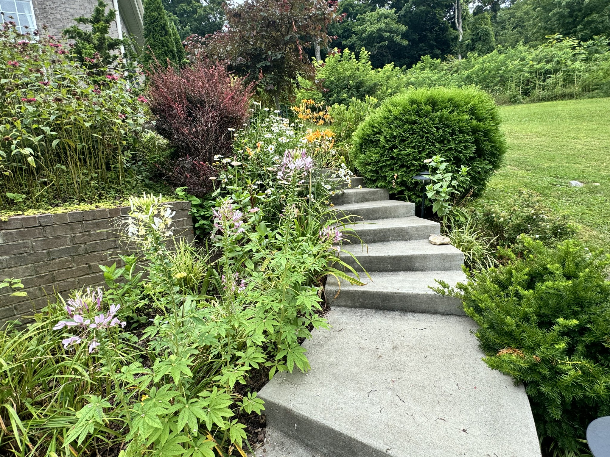 782 Saussy Place Nashville TN 37205